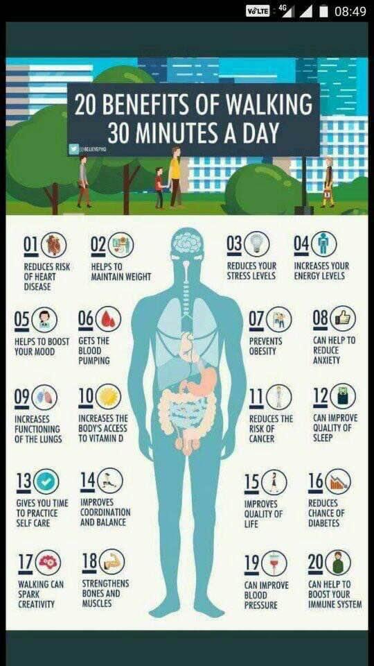 14_Benefits_of_walking_20250622111006.jpg